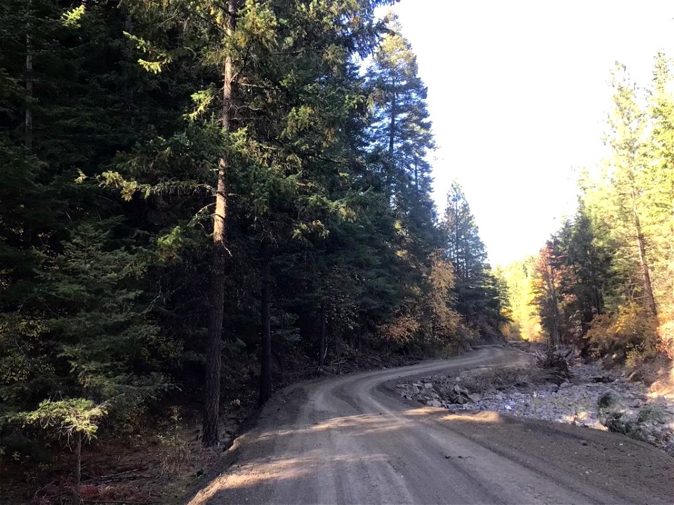 Forest Service RD 54