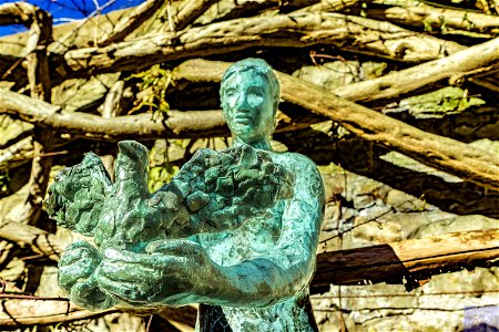 Dove of Peace Bronze Sculpture Maidstone