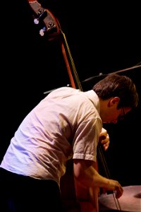 Jacob Bro Trio 24 september 2015 BIM Amsterdam - Thomas Morgan