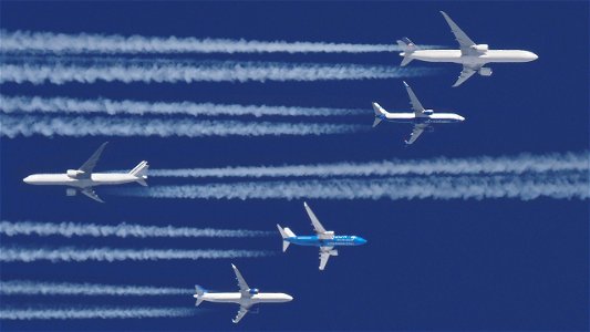 The French are swimming (flying) against the stream: