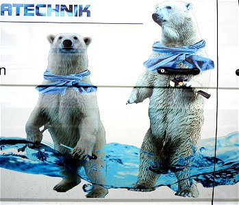 Die Eisbären sind los! photo