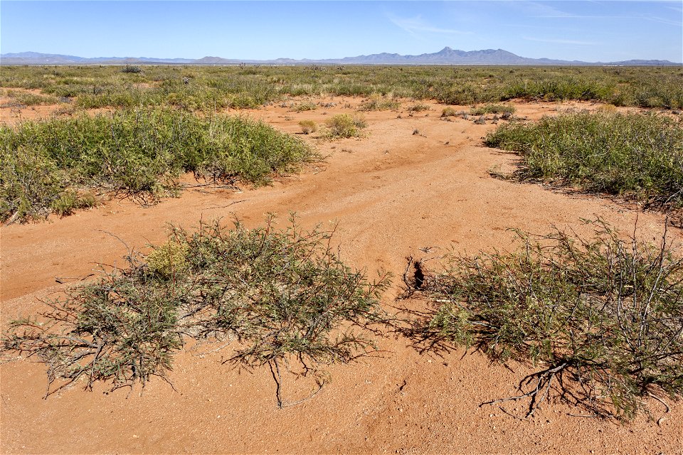 Northeast of Antelope Hill