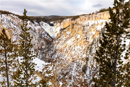 Snowy Grand Canyon of the Yellowstone from Artist Point (wide) photo