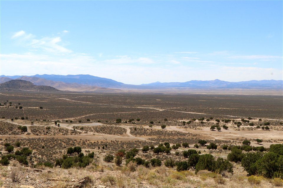 Fuel Type near Five Mile Pass; Lehi, Utah