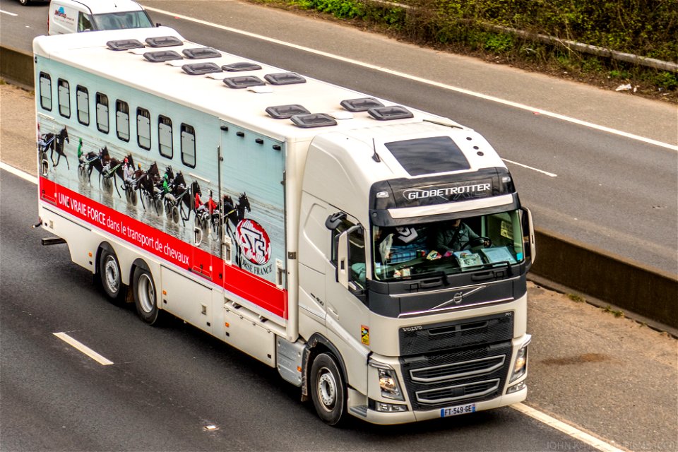 FT-549-GE Horses M20 J5