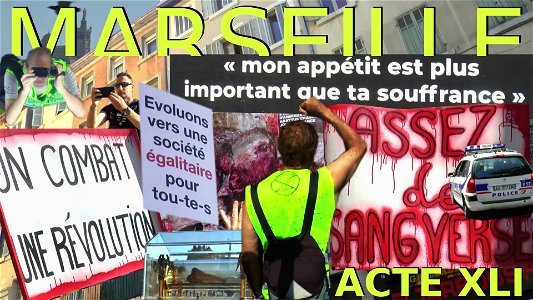 Acte 41 Marseille les gilets jaunes dans la manif antispéciste