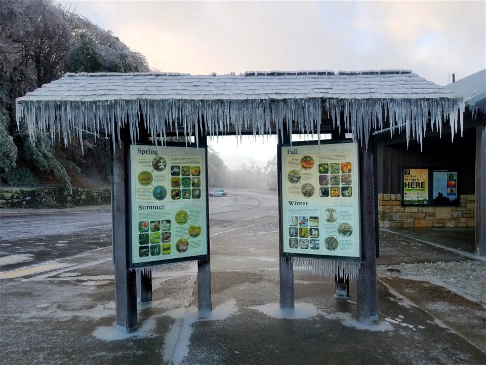 Ice Storm 202