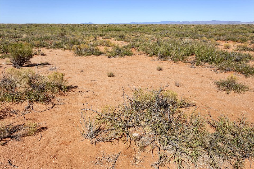 North-northeast of Antelope Hill