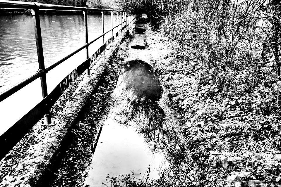 River Path Puddles