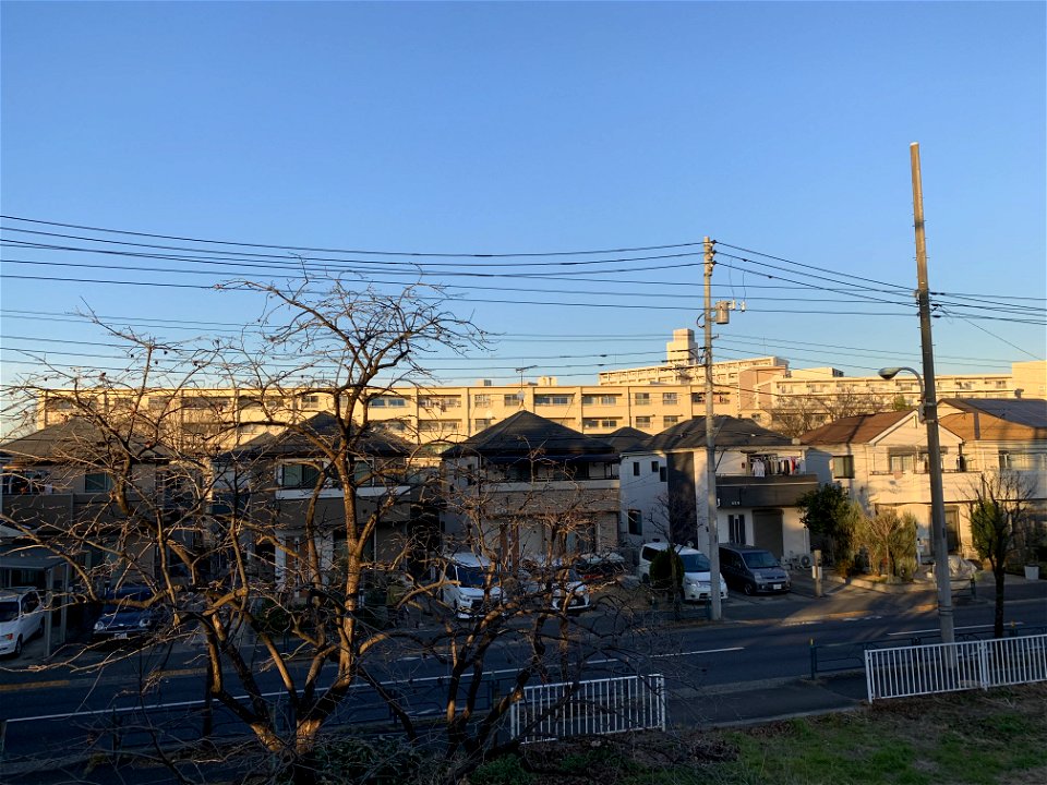 Shinkawacho Higashikurume-shi in mid-December
