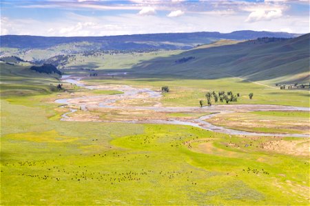 Yellowstone flood event 2022: swollen Lamar River and Lamar Valley (after) photo