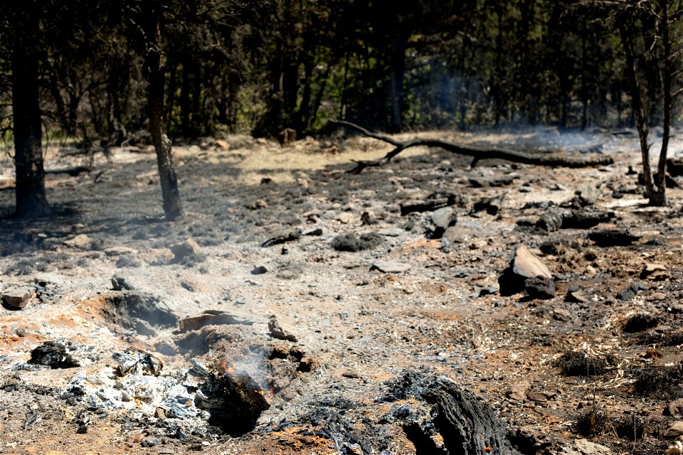 Volunteer Fire