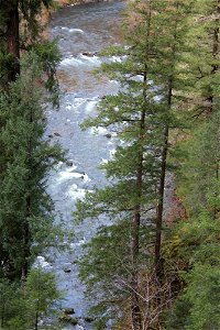 img_2188_view-of-nu-river-from-trail8jpg_49364721287_o photo