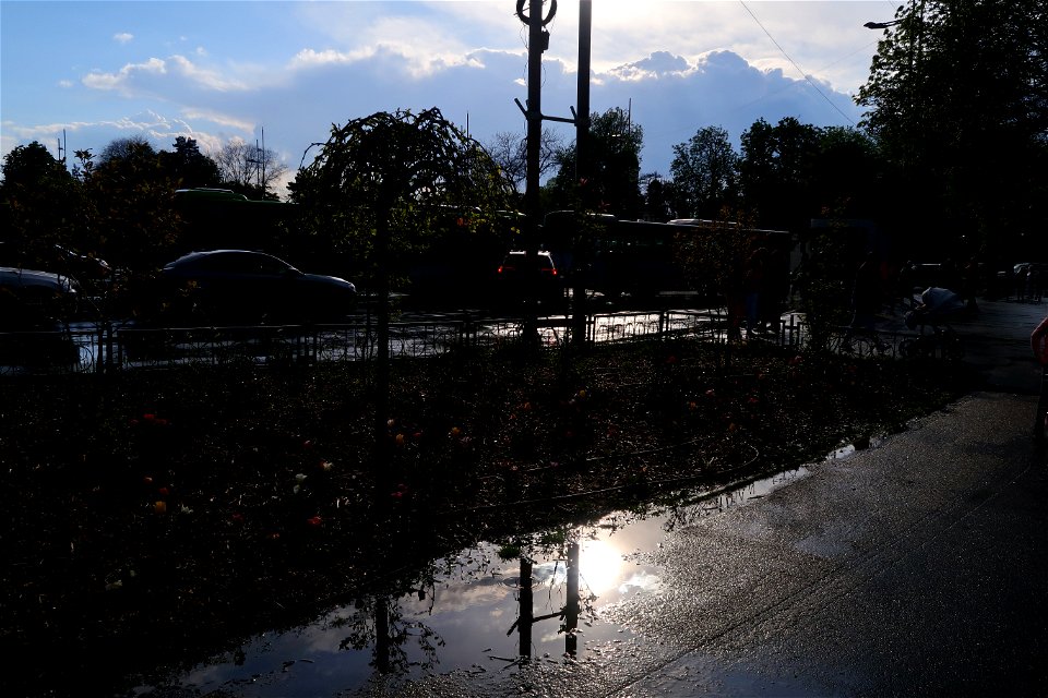 japanes_garden_rain_Herastrau (56)