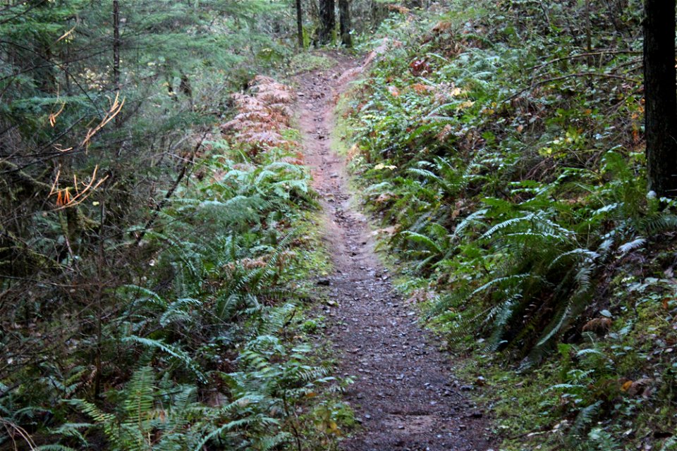 img_2259_trail-erosion-near-calf-ck-thjpg_49364508231_o