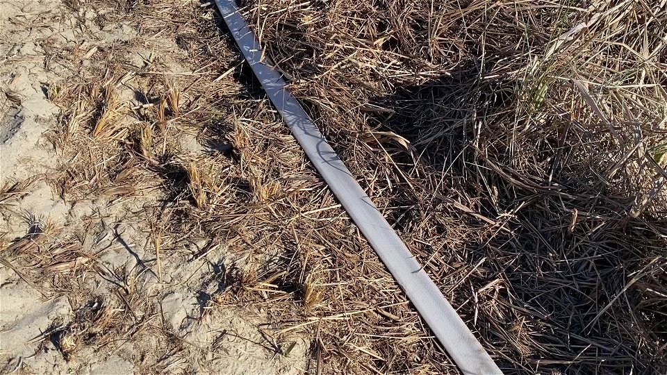 Siuslaw Oregon Dunes Prescribed Burn 2022 photo