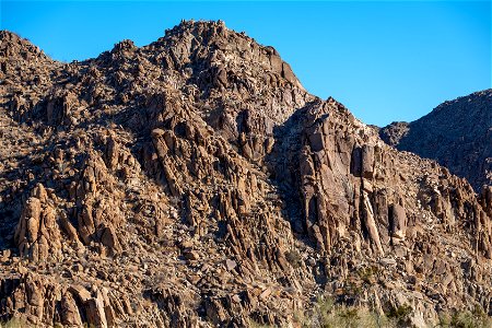 Joshua Tree National Park photo