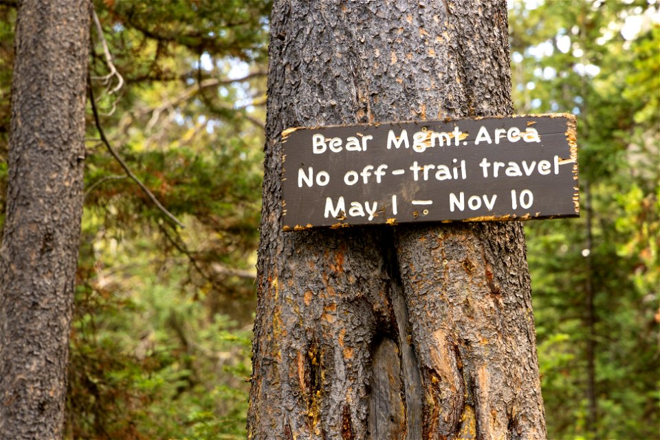 Bear Management Area sign on Fawn Pass Trail