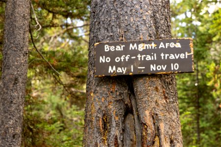 Bear Management Area sign on Fawn Pass Trail photo