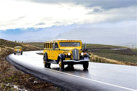 Tower-Roosevelt to Chittenden Road ribbon-cutting: White buses make their way towards Dunraven Pass