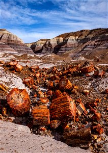 01-02-19 Pumpkin Patch, Blue Forest, NPS-Jacob Holgerson