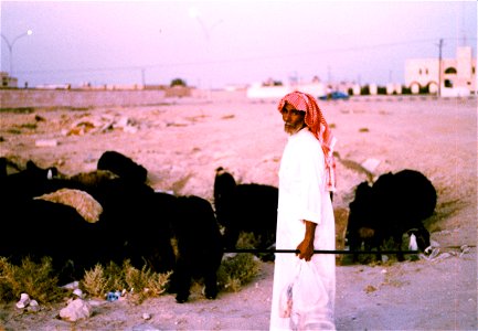Kuwait 1982-0185 photo