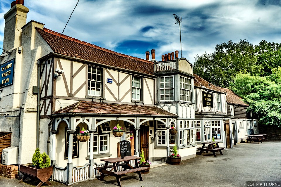 YE OLDE WHYTE LYON