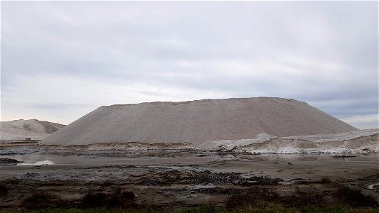 Les marais salants de Salins-de-Giraud