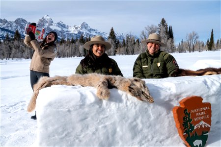 Snow Desk 2023 - 15 photo