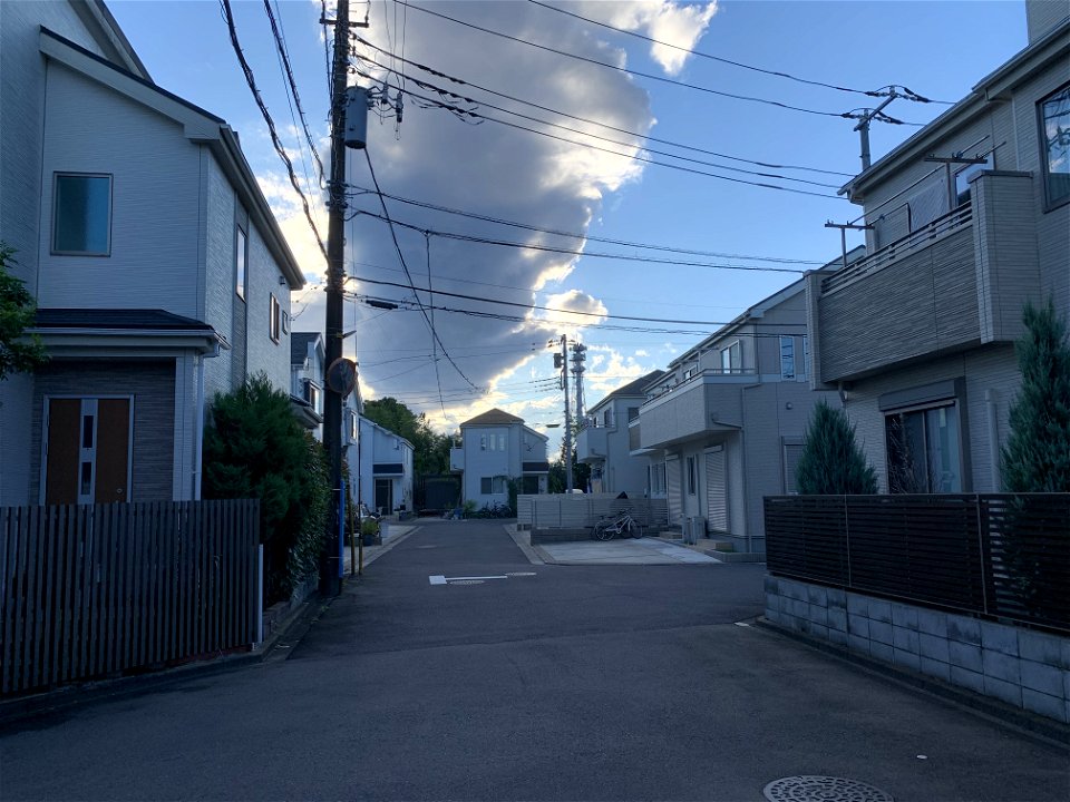Yayoi in Higashikurume-shi