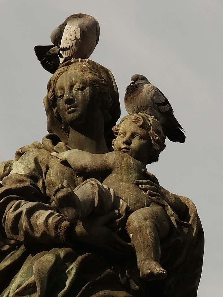 Pigeons madonna mother of god