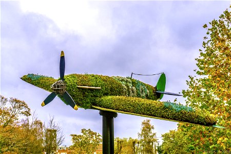 Floral Spitfire Ashford