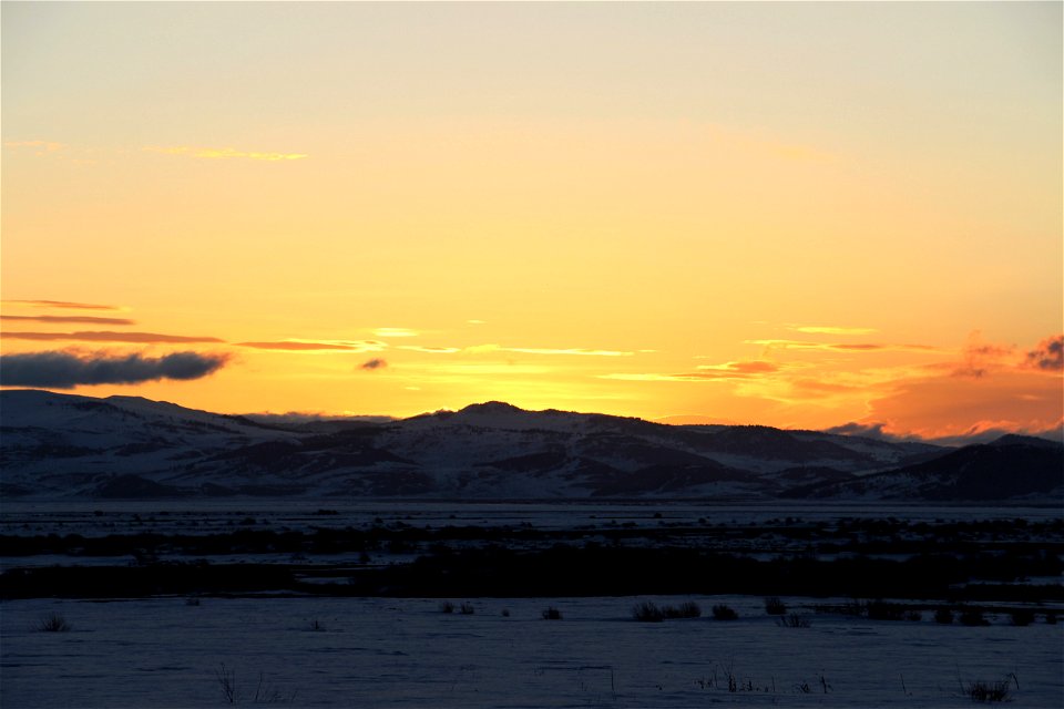 Golden Sunrise