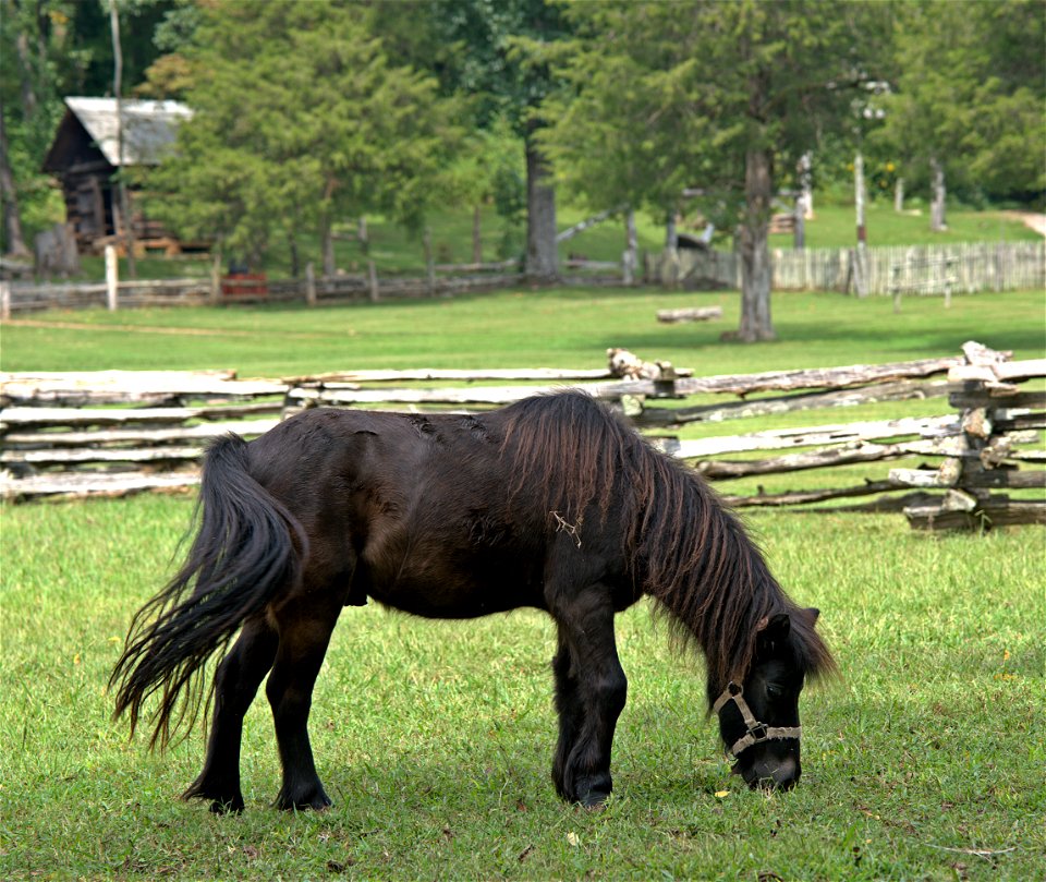 Museum of Appalachia