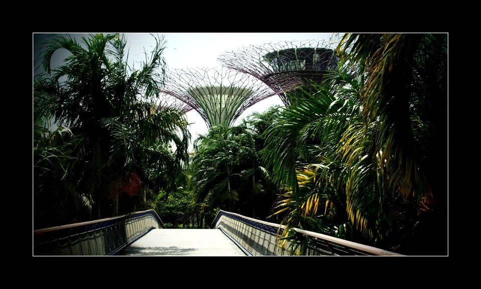 Gardens by the Bay