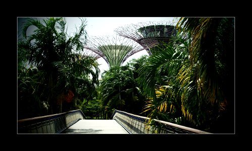 Gardens by the Bay photo