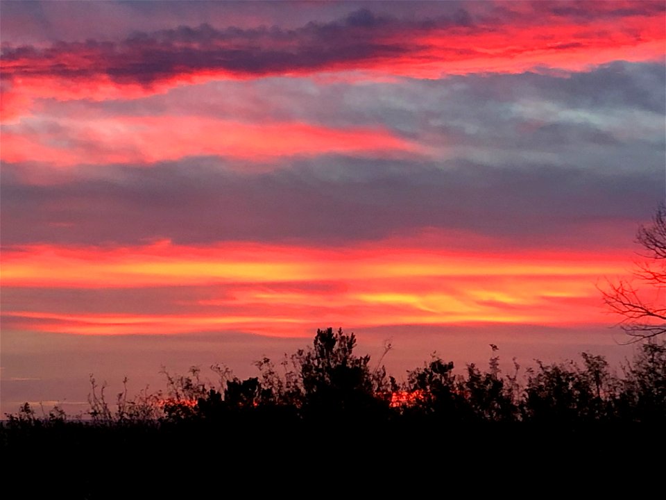 2021/365/275 Streaky Sunset
