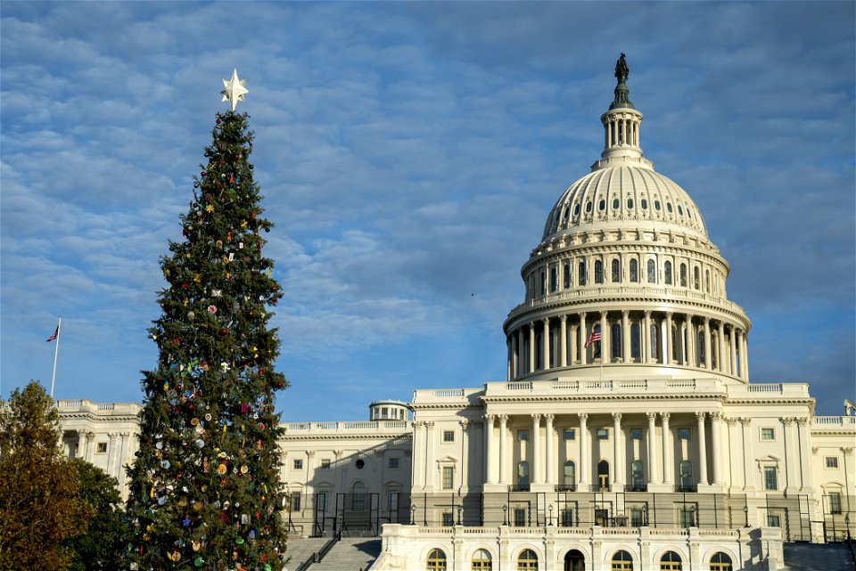 CapitolXmasTreeLighting-WashingtonDC-002