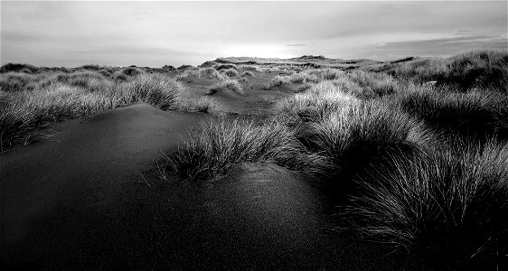 TOLOWA DUNES (11-02-2021) del norte co, ca -05 BW