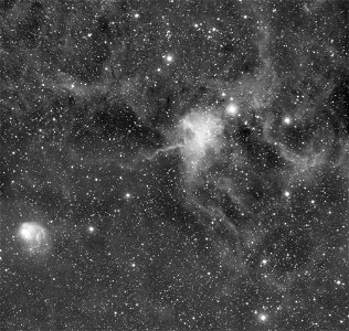 Spider & Fly Nebula IC 417 (Ha) photo