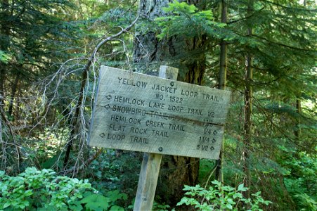 untitled-1502jpg_49364533541_o