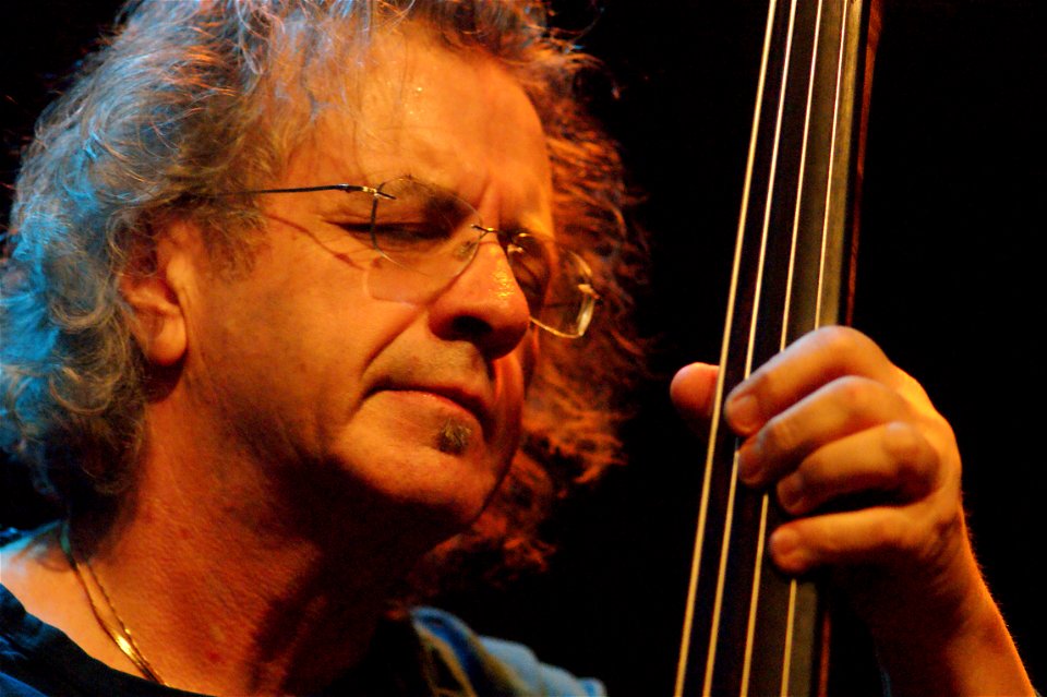 Matthew Shipp trio 1 februari 2011 BIM Amsterdam - Michael Bisio