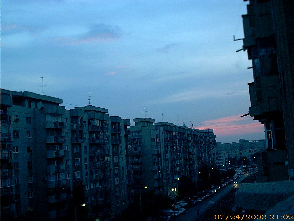 apus-caleavitan2003_0729_081716_16713451573_o
