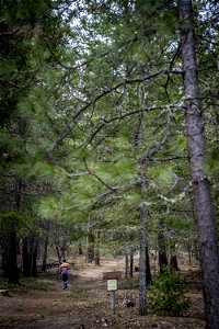 20230321-FS-PJK-2728_TONED