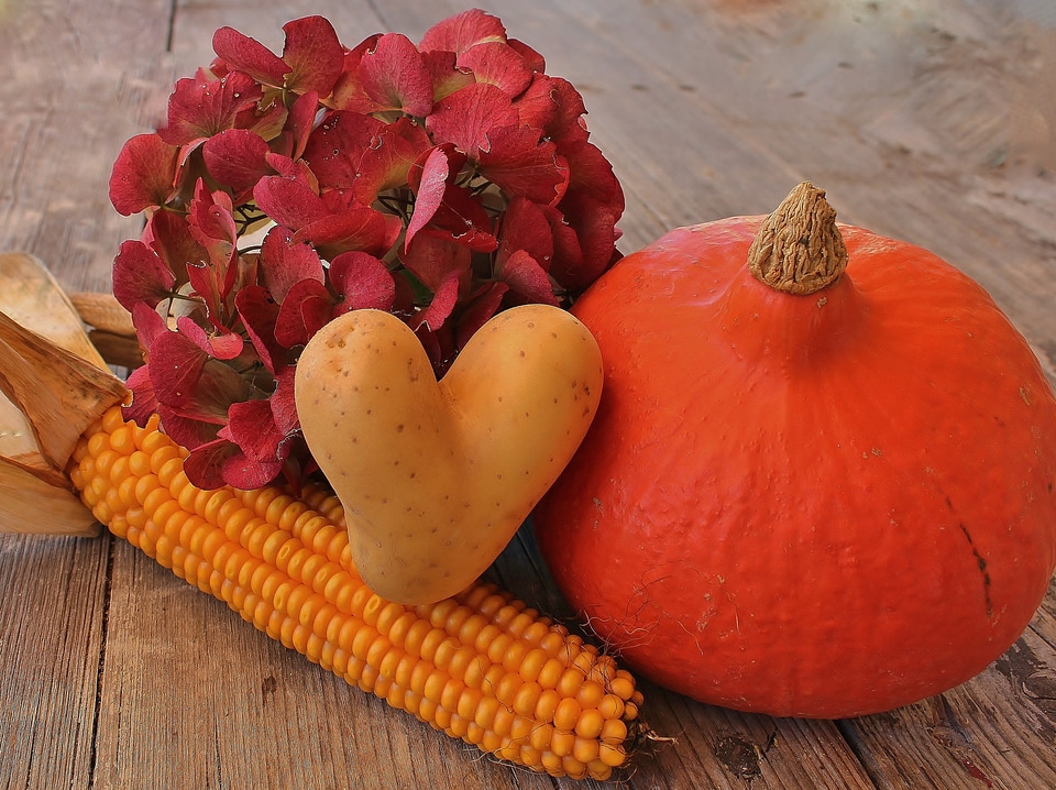 Nature vegetables pumpkin