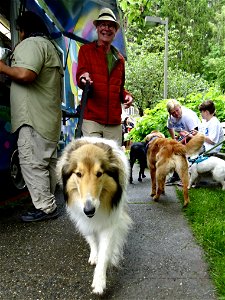DSC09463