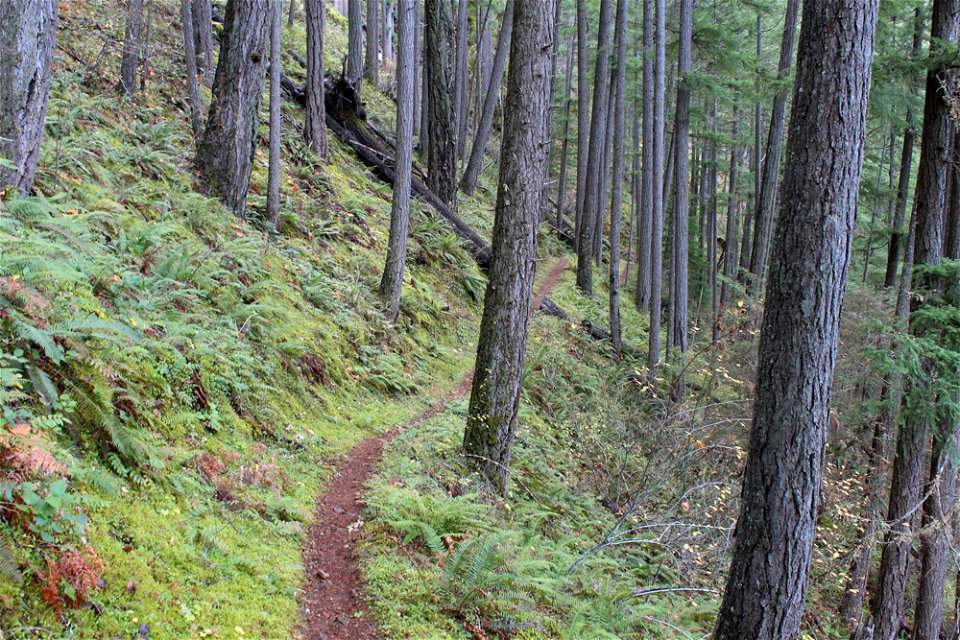 img_2193_trail14jpg_49364051453_o