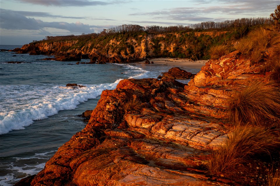 Shoreline at first light