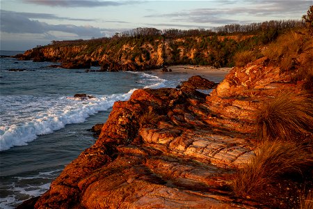 Shoreline at first light photo