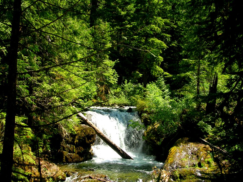 bohemia-smith-fallsjpg_49364427211_o